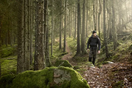 En man som vandrar i en skog.