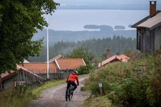 En man cyklar i fäbodlandskap sommartid.
