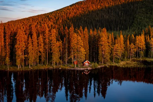 En liten röd stuga vid kanten av en sjö med djup skog bakom.