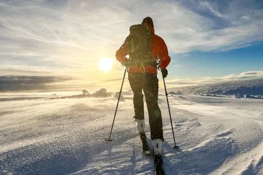 Skier on the top of a mountain. 