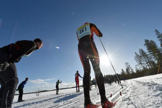 Cross country skier with bib from behind skiing a winter day with clear blue sky.
