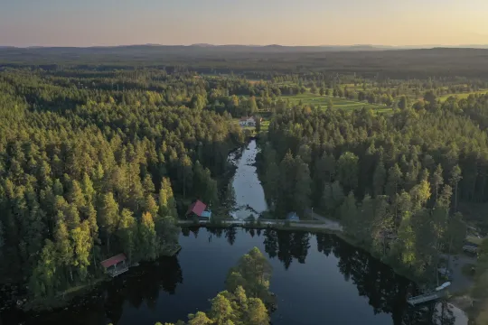 Utsikt över älv och skog i solnedgången sommartid.