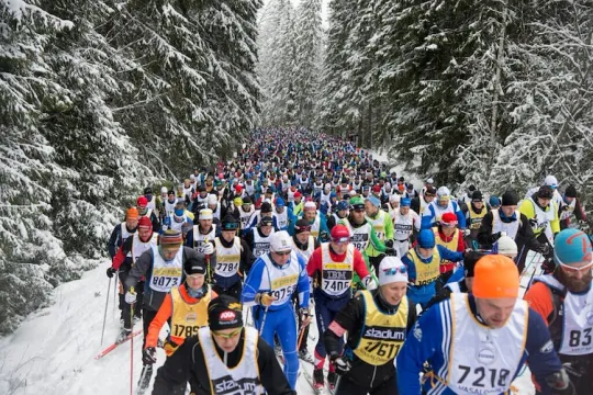 Skidåkare i vintrig skog.