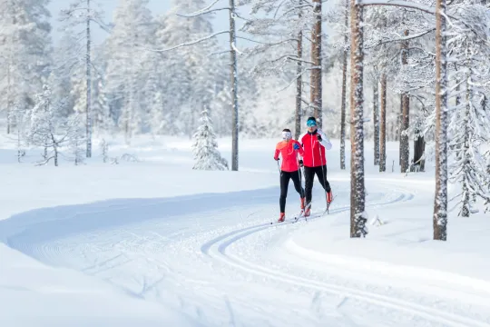Två längdskidåkare i skidspår bland vintriga träd.