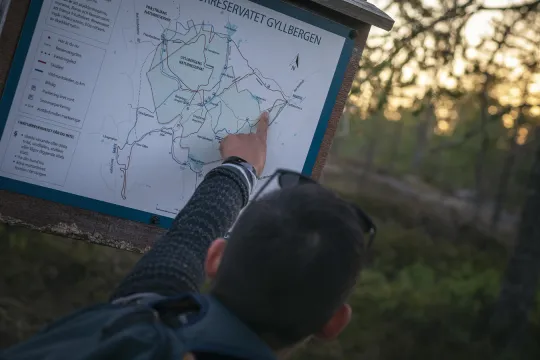 Person som kollar på en informationsskylt.