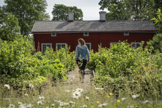 Kvinna går i grönskande trädgård sommartid.