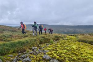 En grupp vandrar över ett grönt fjäll.