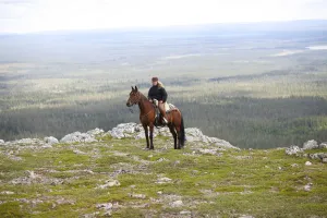 Tjej som rider på fjäll.