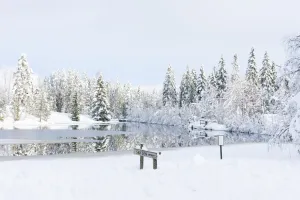 Vinterlandskap vid frusen sjö.