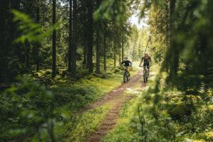 Två killar som cyklar på en skogsled.