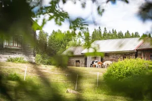 Timrad fäbodstuga.