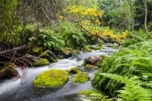 Rinnande vatten vid Fulufjället.
