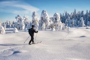 En skidåkare i soligt vinterlandskap.