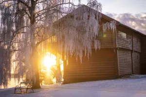 Vinter vid Ornässtugan 