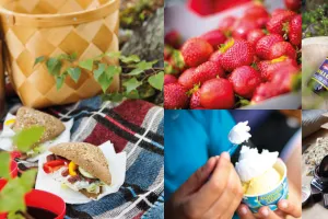 Bild collage med picknick tillbehör.