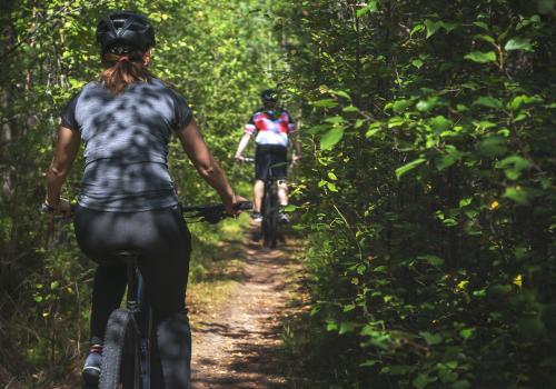 Två mountainbikecyklister ipå skogsväg.