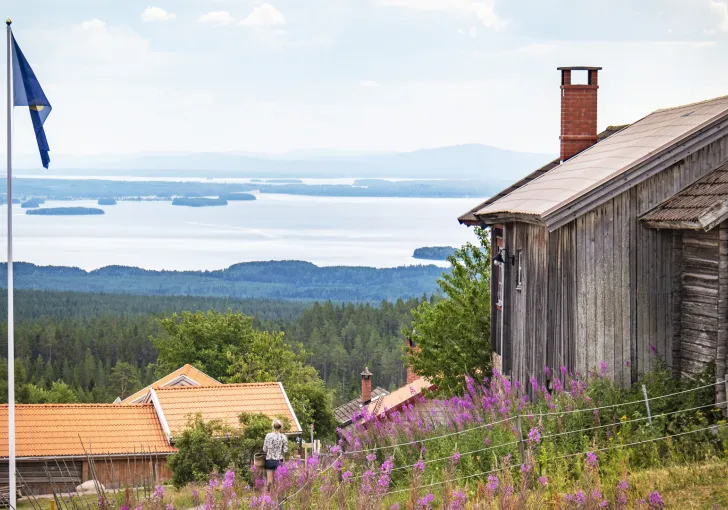 Vy från Fryksås fäbod över Orsasjön.