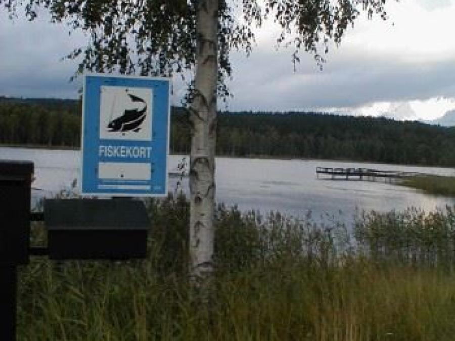 Fiskekortskylt som hänger från en björk med sjö i bakgrunden.