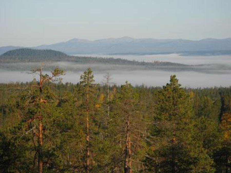 Eksjöberget Ecopark with mountains in the background and trees