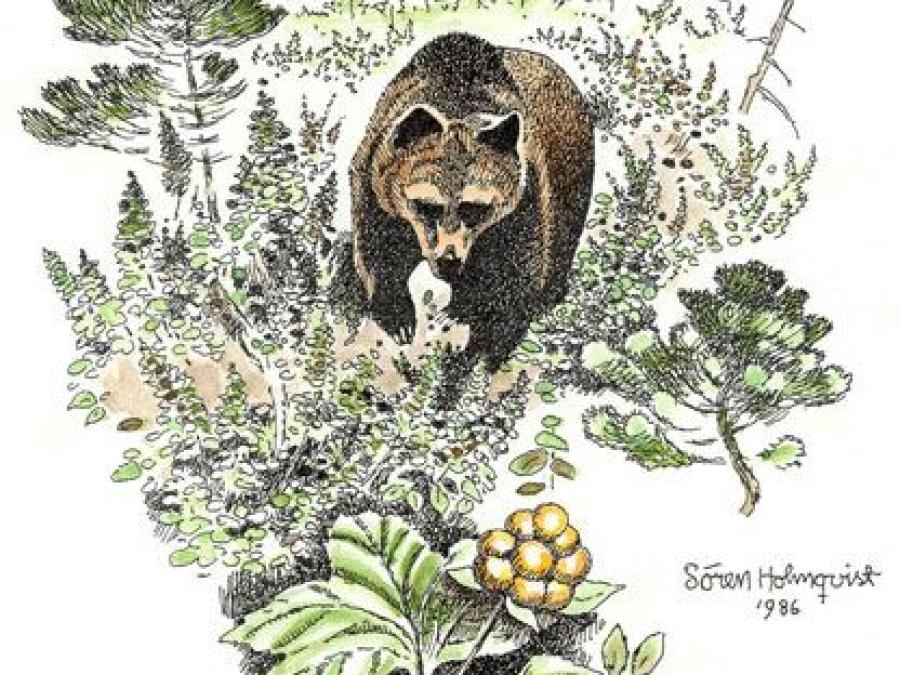 A painted picture of a brown bear in the forest 