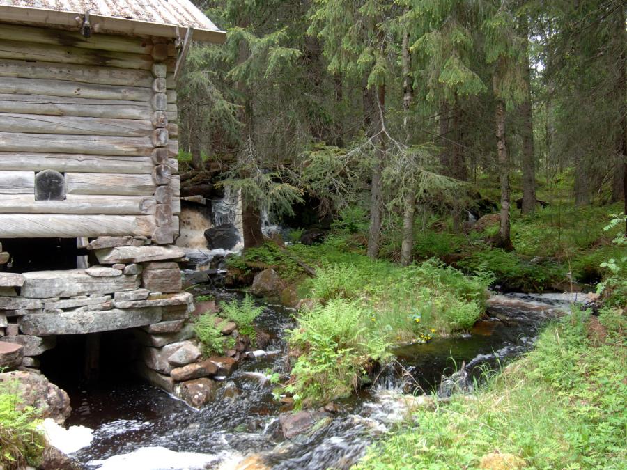 A small river by an old house in the forest