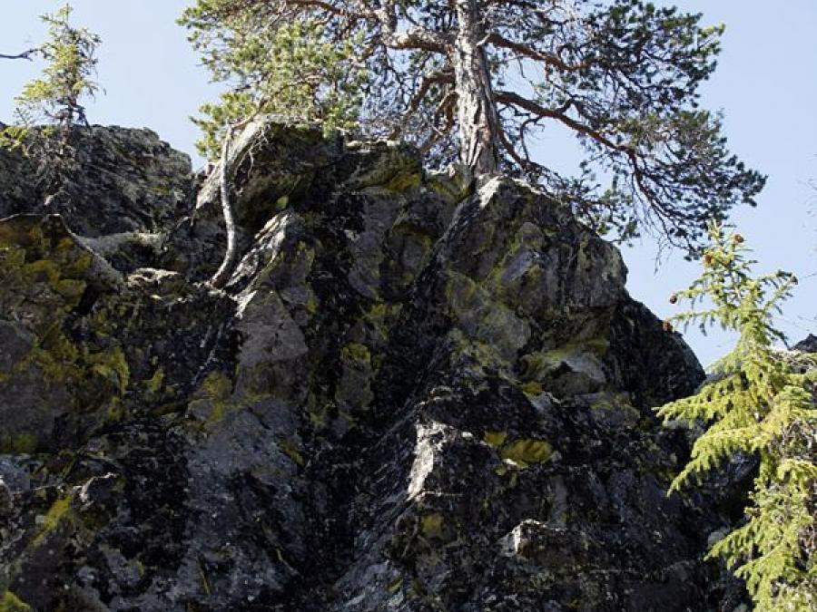 Steep mountain with rocks and some trees