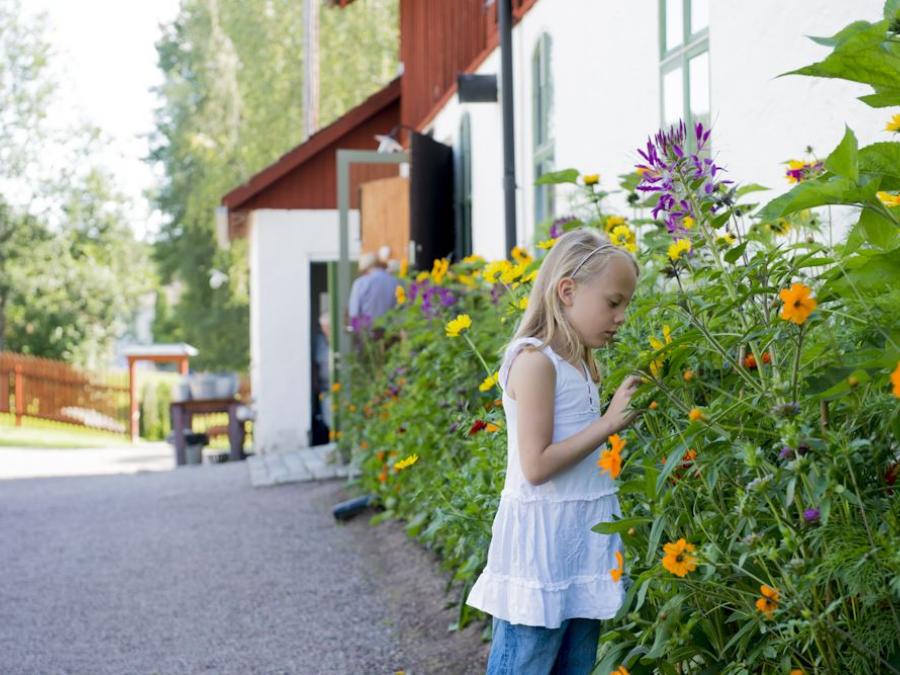 Exterior image, girl looking at flower planting. .
