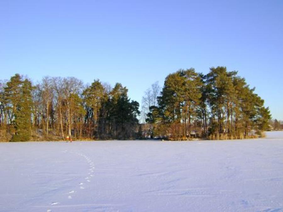 The island Lindön in winter view.
