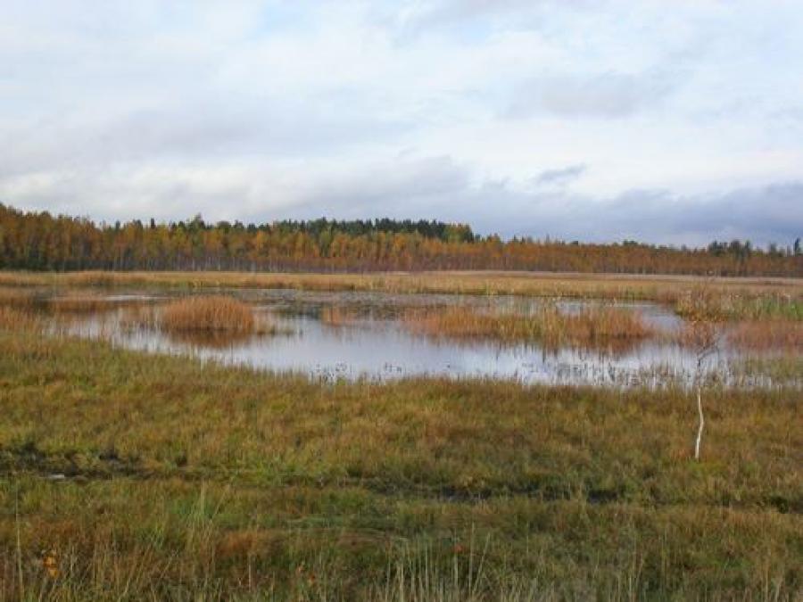 The lake Holmsjöarna.