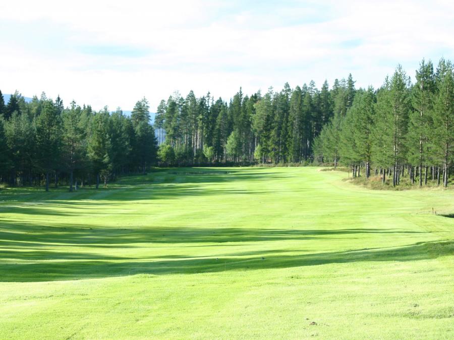 Golf course with trees around.