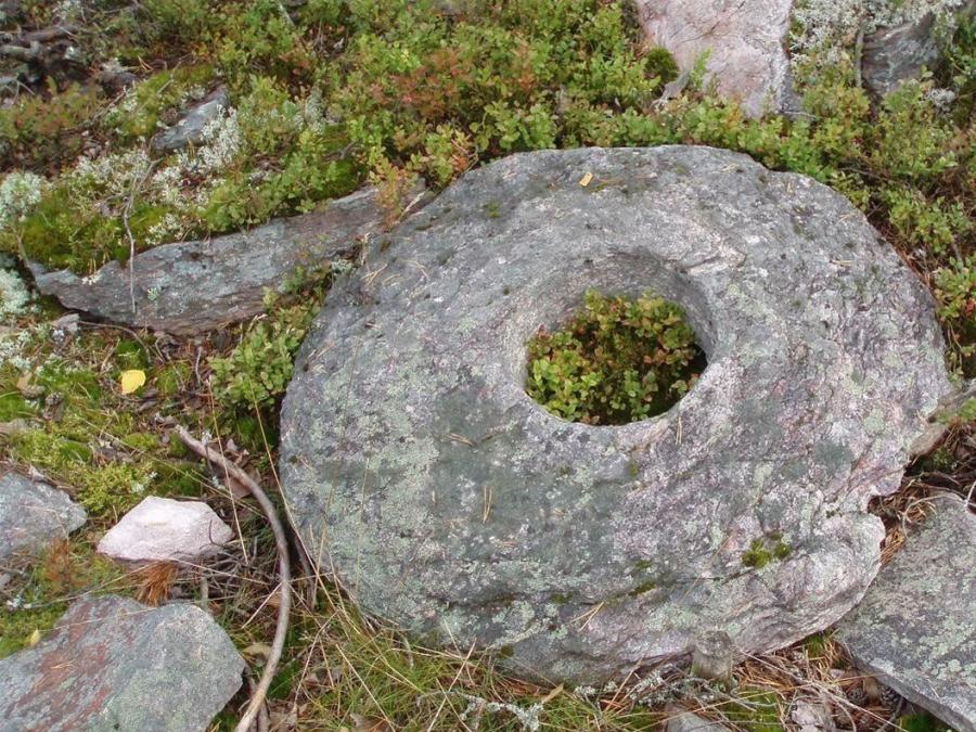 En rund sten med hål i mitten ligger i mossan. 