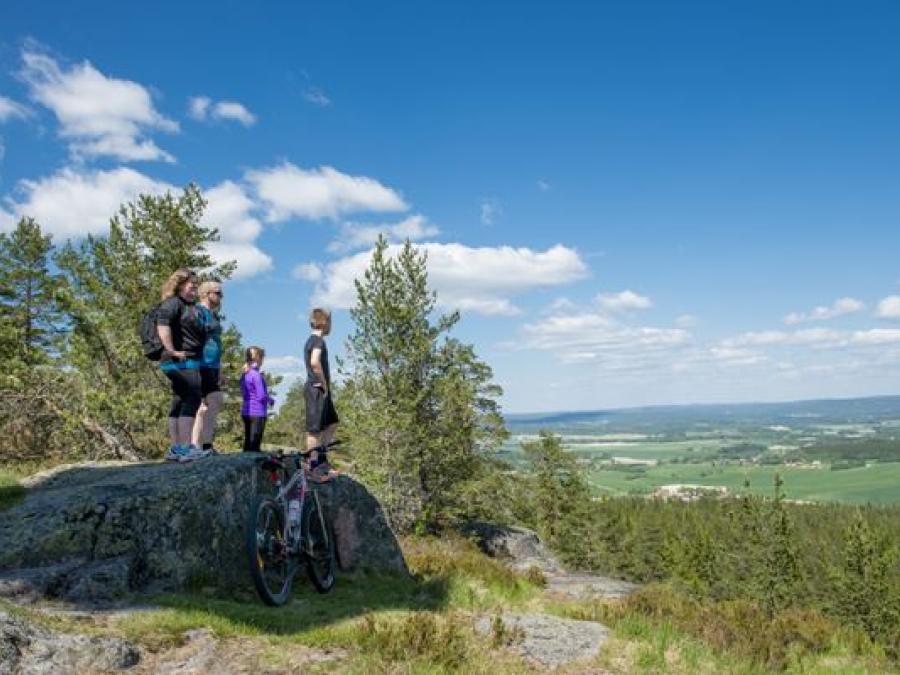 Two adults and two children stand on a small cliff and look at the view, next to it is a bicycle.