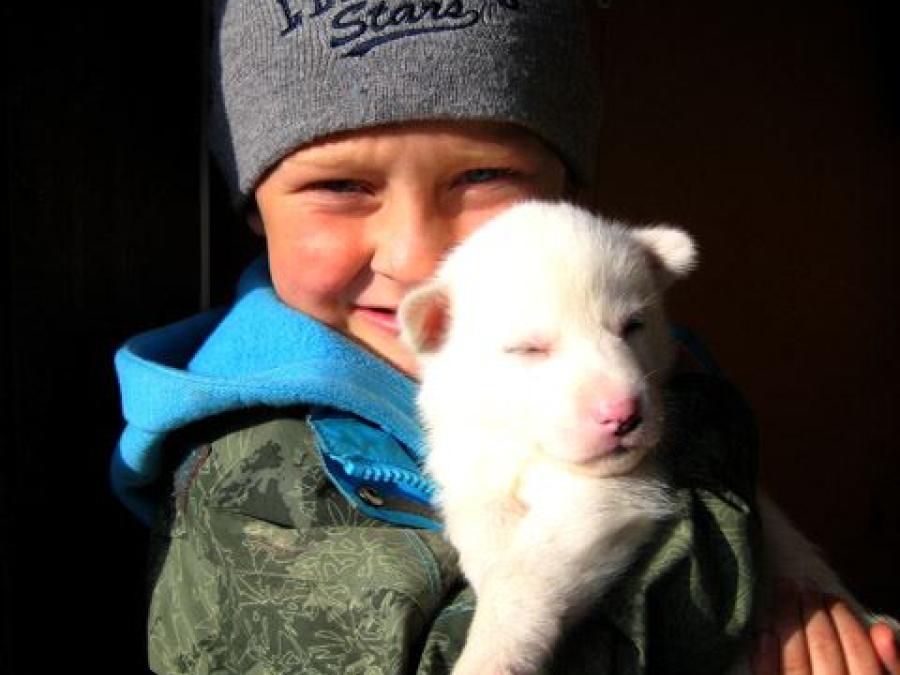 Barn som håller en vit hundvalp i famnen. 