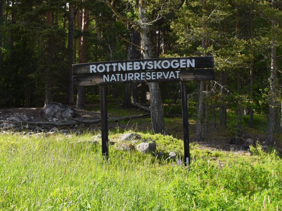 Sign made of wood with the text Rottnebyskogen naturreservat, old forrest in the background.