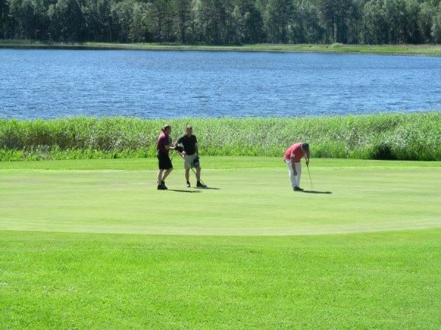 hedemora, golf, gold course