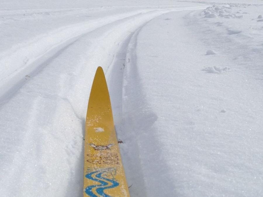 Yellow ski in skitrack.