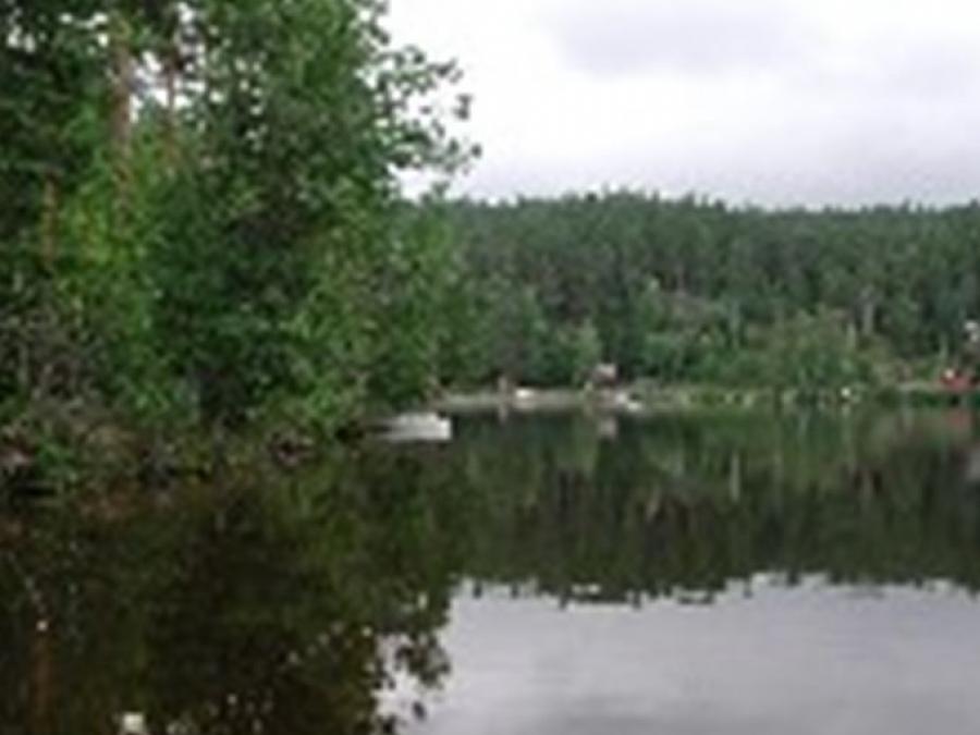 Lake with trees around it. 