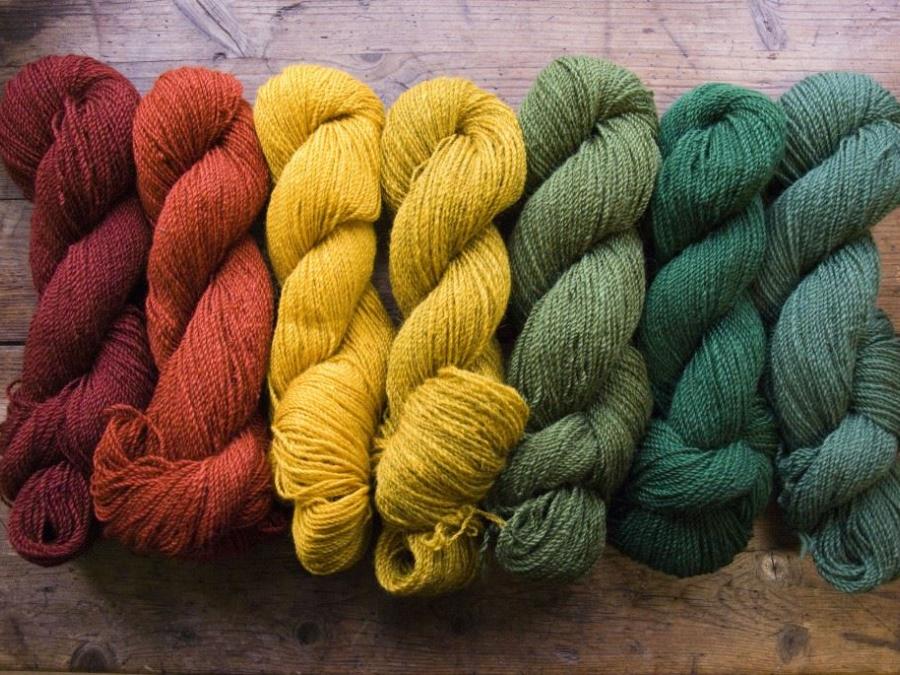 Wool yarns in different colors.