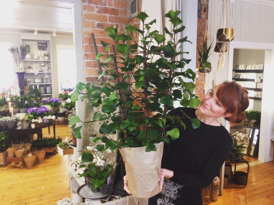Interior image from the shop, girl holding a large potted plant.