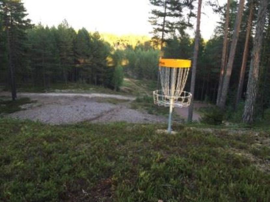 Basket out on the disc golf course.