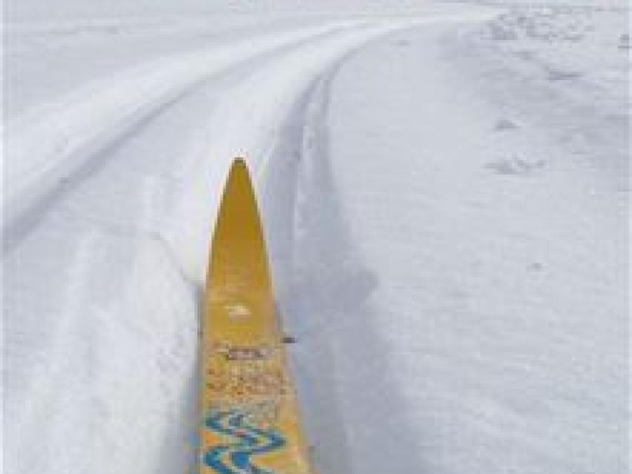 Spetsen av en gul längdskida i ett skidspår.