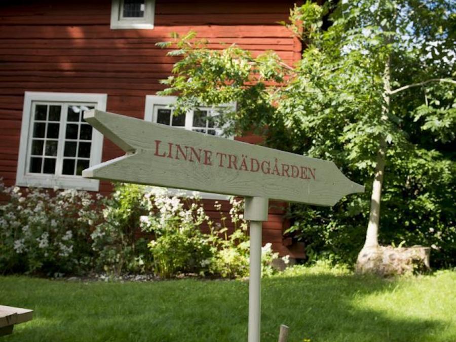A red older timber building, gravel walk, sign Linne trädgården.