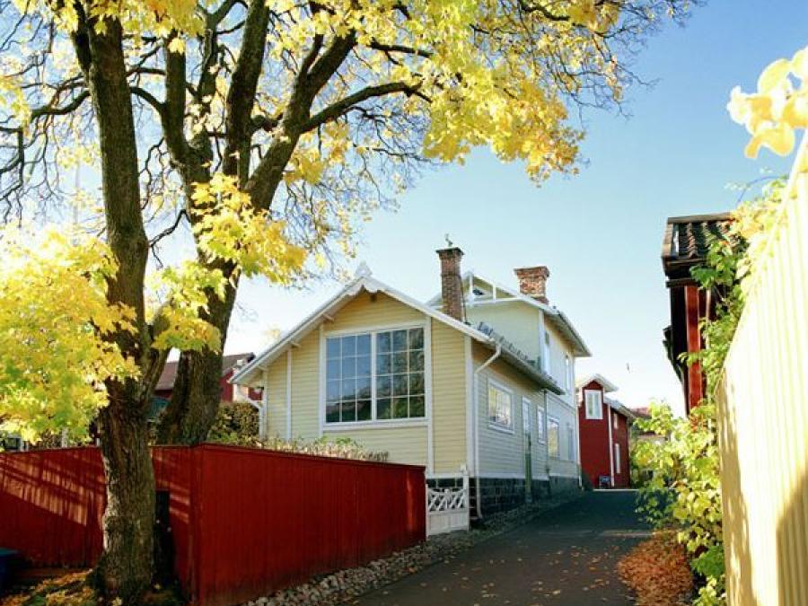 En bild tagen en solig höstdag, en gata, till vänster om gatan ett stort träd med gula löv, ett rött staket och en gul träbyggnad med stora fönster.