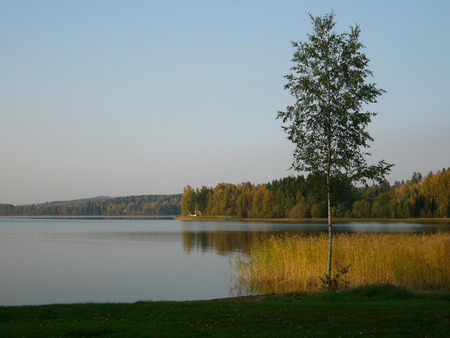 Lake during summertime.