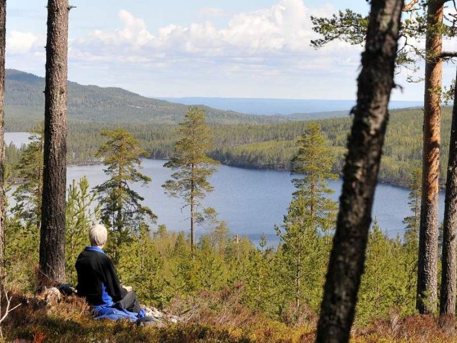 En person sitter på en stubbe i skogen och njuter av vacker utsikt över Vådsjön.