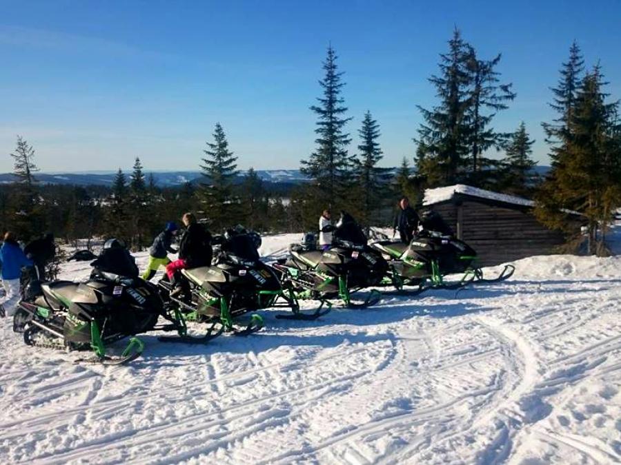 Snowmobiles with trees in the background