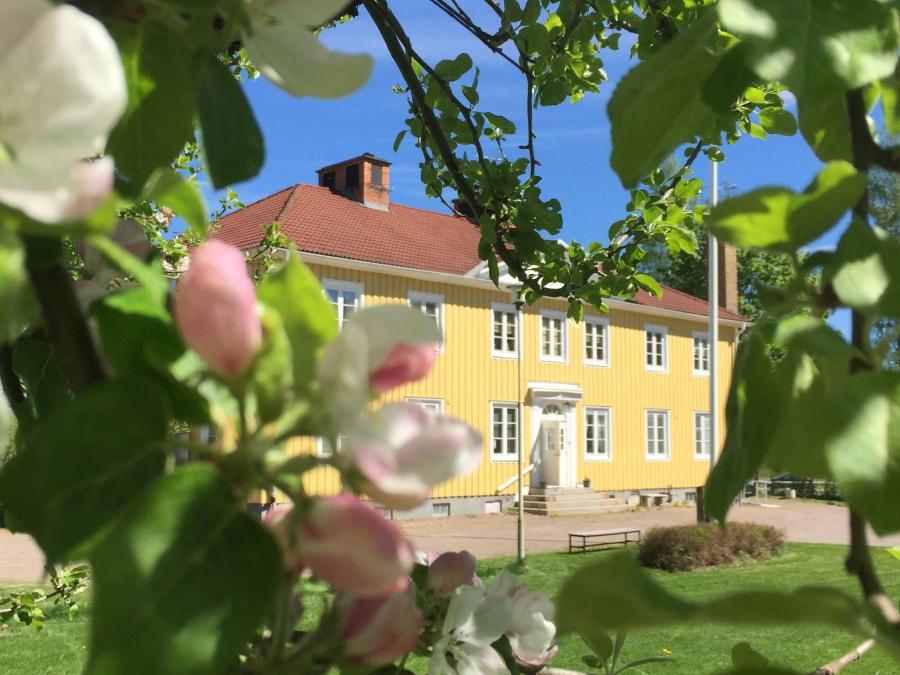 Träd med äppelblom i förgrunden och stor gul villa i bakgrunden.