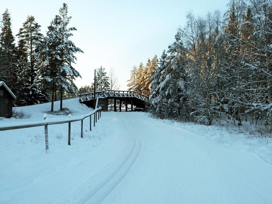 Ski tracks and a bridge