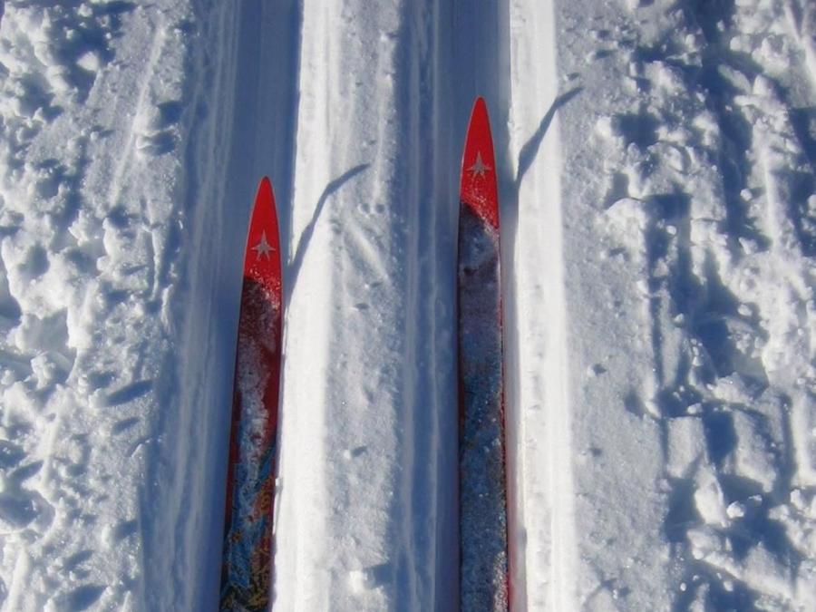 Ski- tips in snow.