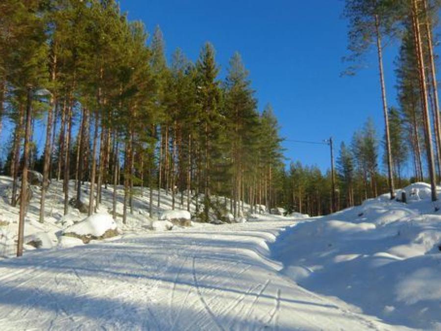 Ski trails.